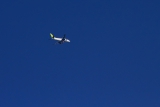Boeing 737